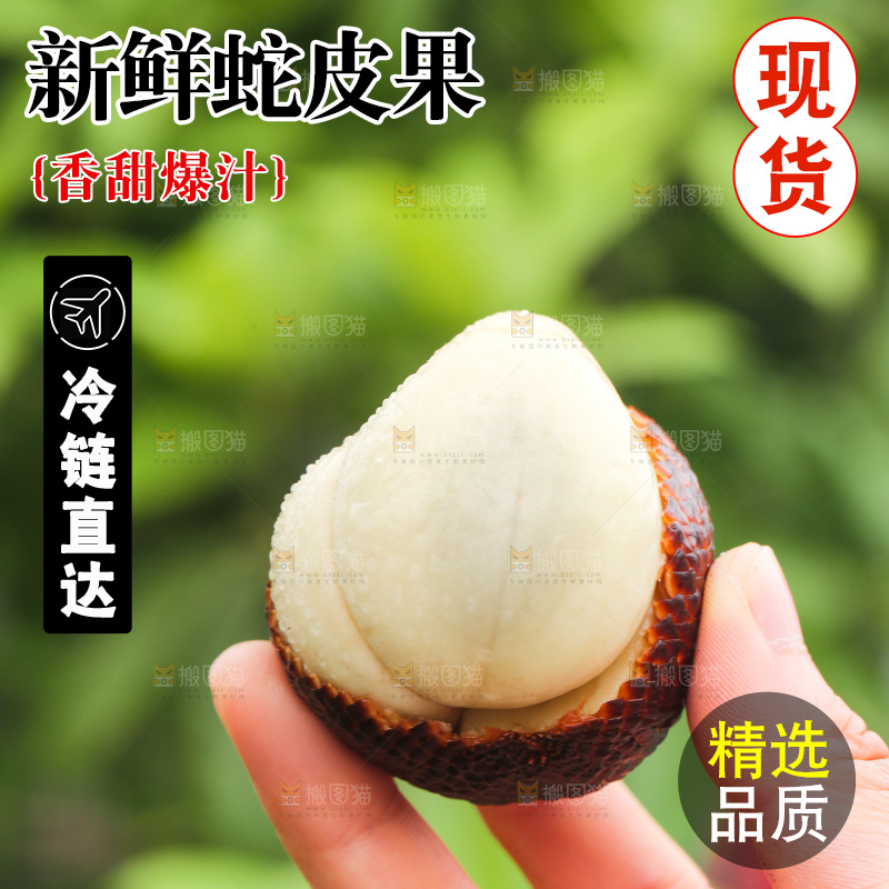 手里拿着印尼蛇皮果
