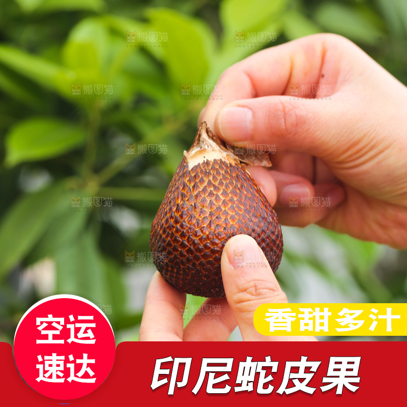 手剥新鲜印尼蛇皮果