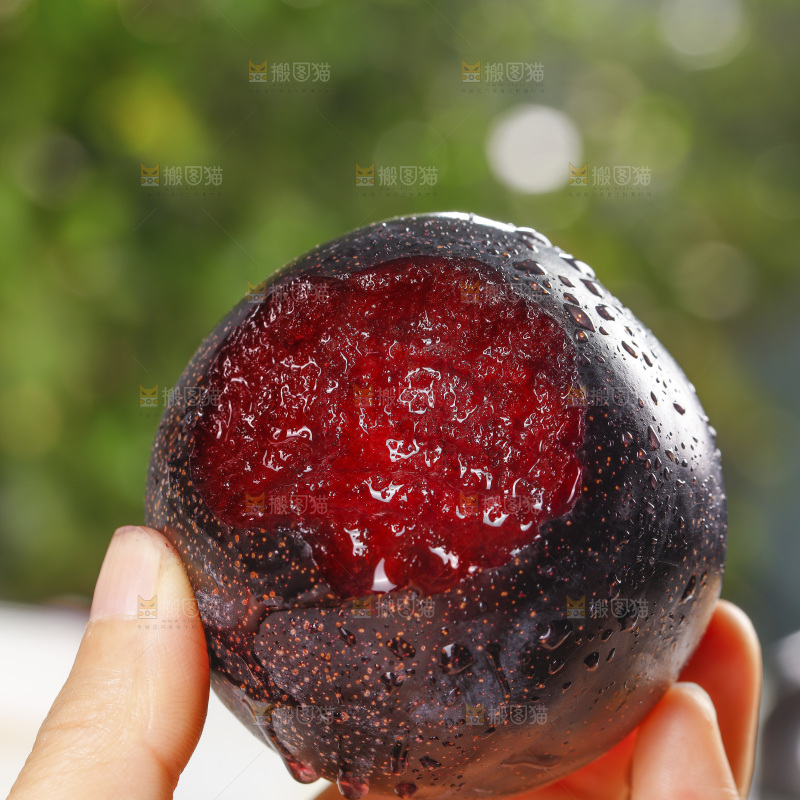 手里拿着恐龙蛋李