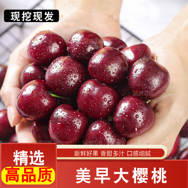 手里捧着山东大樱桃