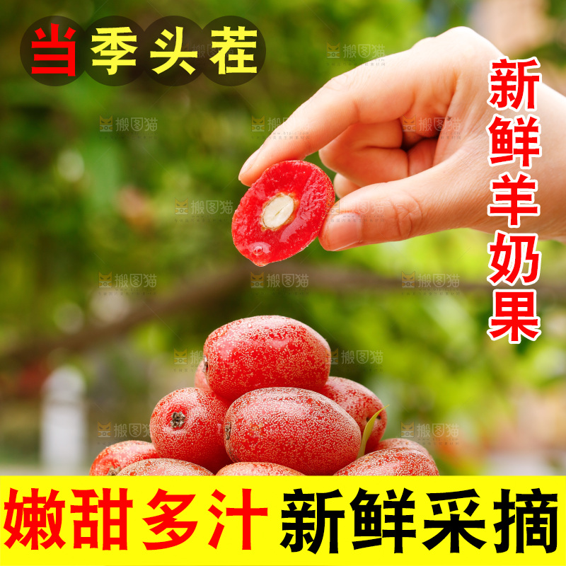 手里端着一盘新鲜羊奶果