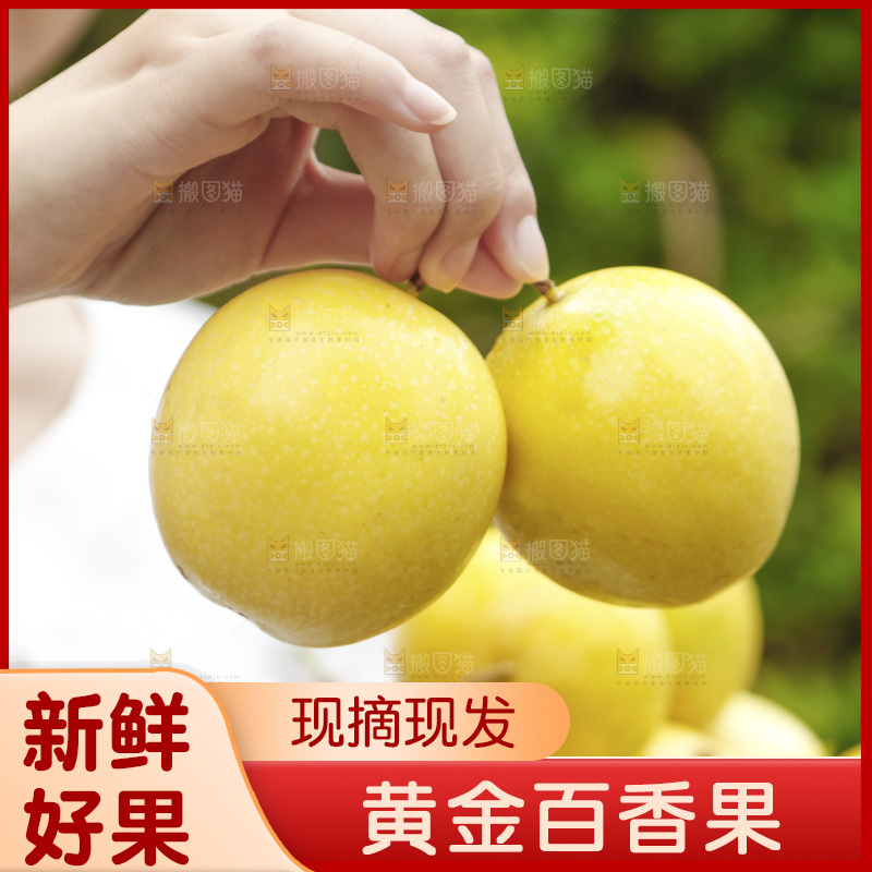 手里拿着黄金百香果