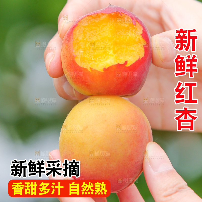 手里拿着红杏
