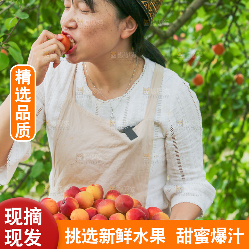 果园里女人吃着红杏