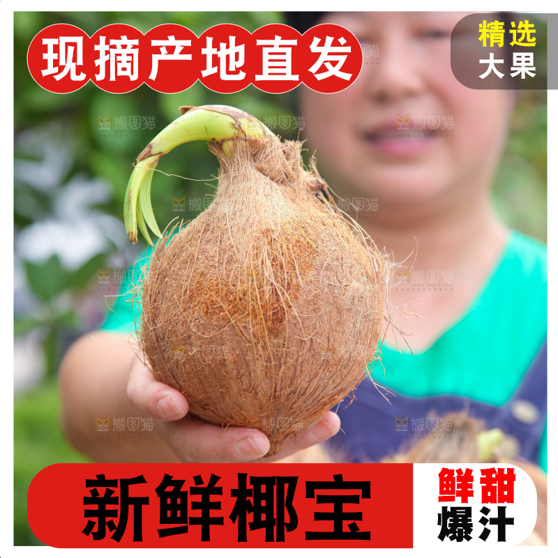 女人手里拿着椰宝