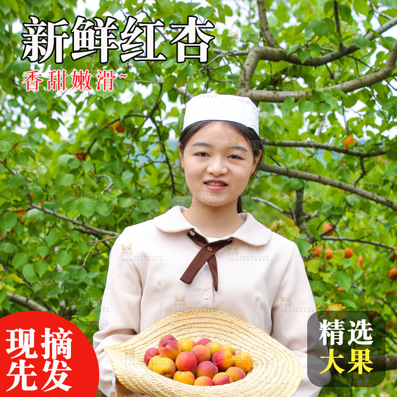 果园里女人拿着红杏
