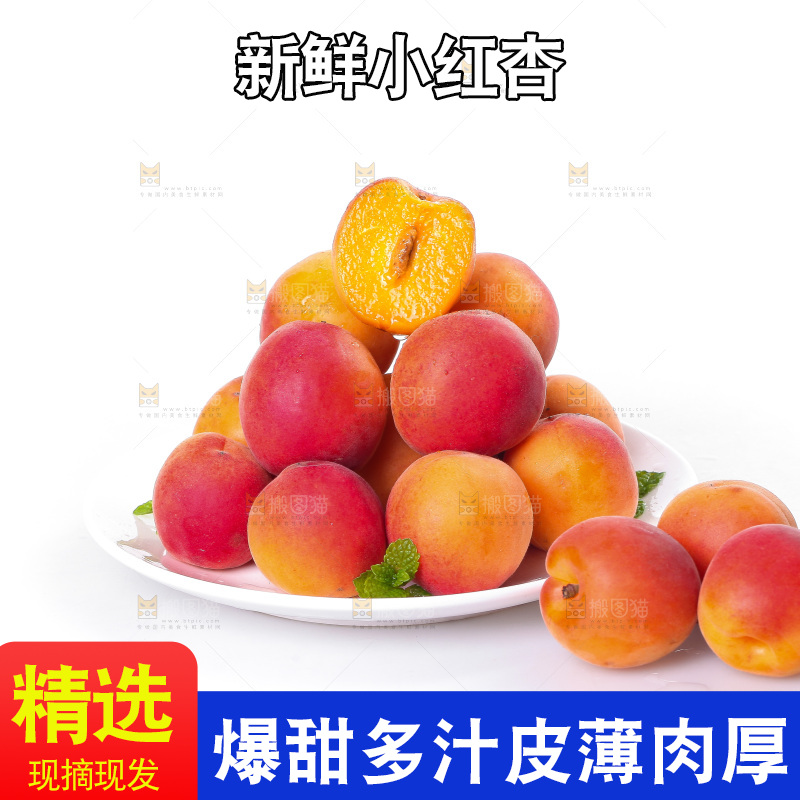 白底上放着一盘新疆小红杏