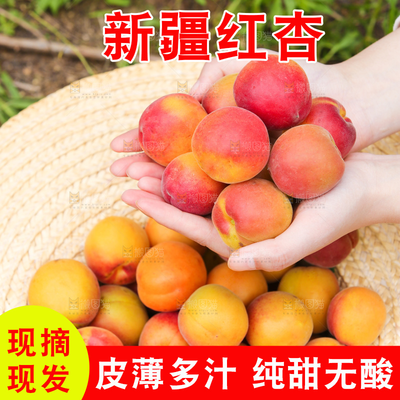 手里捧着崂山蜜桔