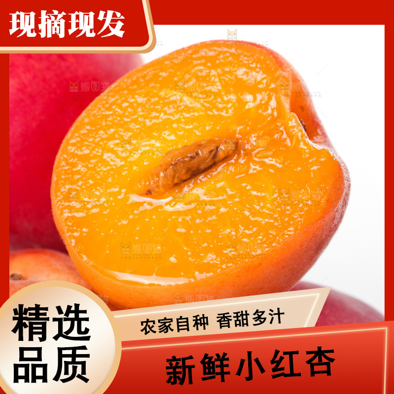 白底上一堆新鲜小红杏