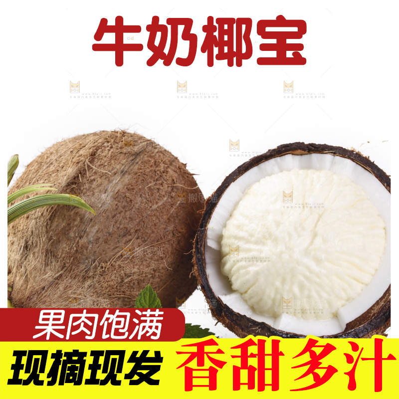 白底上放着椰宝