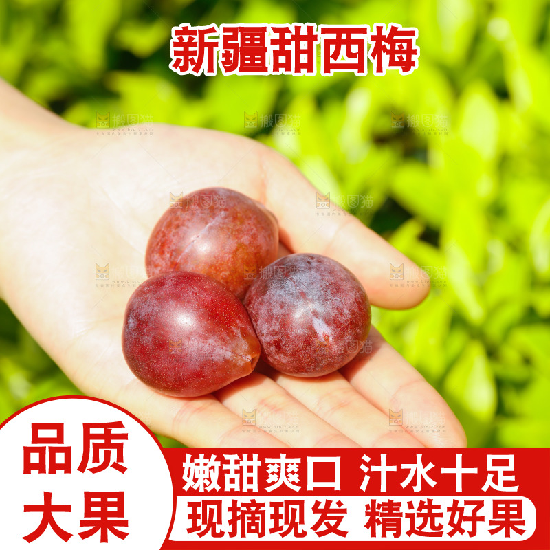 手里拿着新鲜西梅