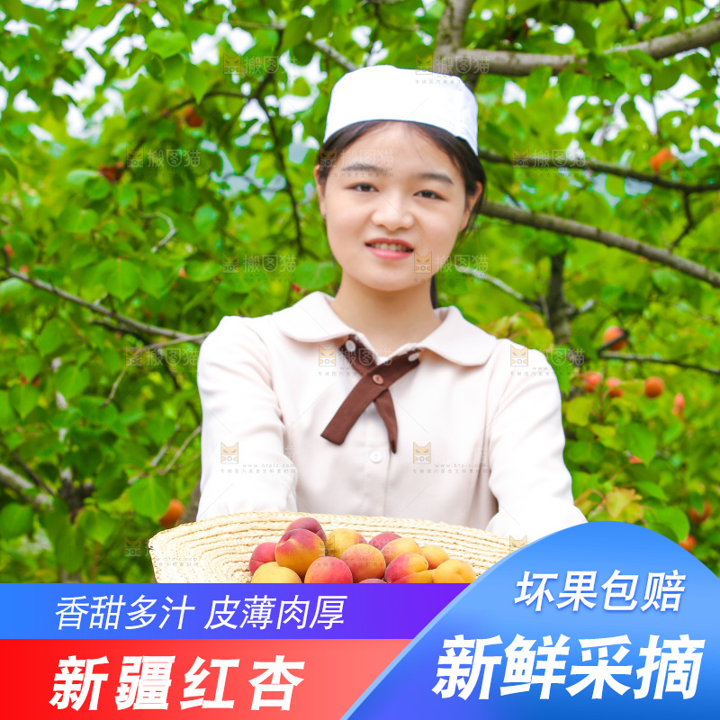 果园里女人拿着红杏
