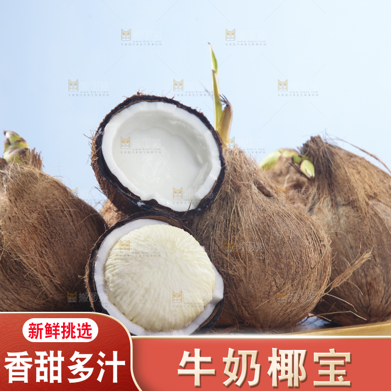 白底上放着一盘海南牛奶椰宝
