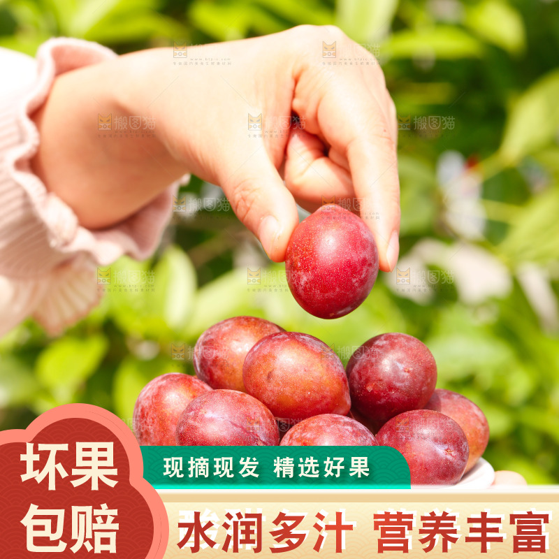 手里拿着新鲜西梅