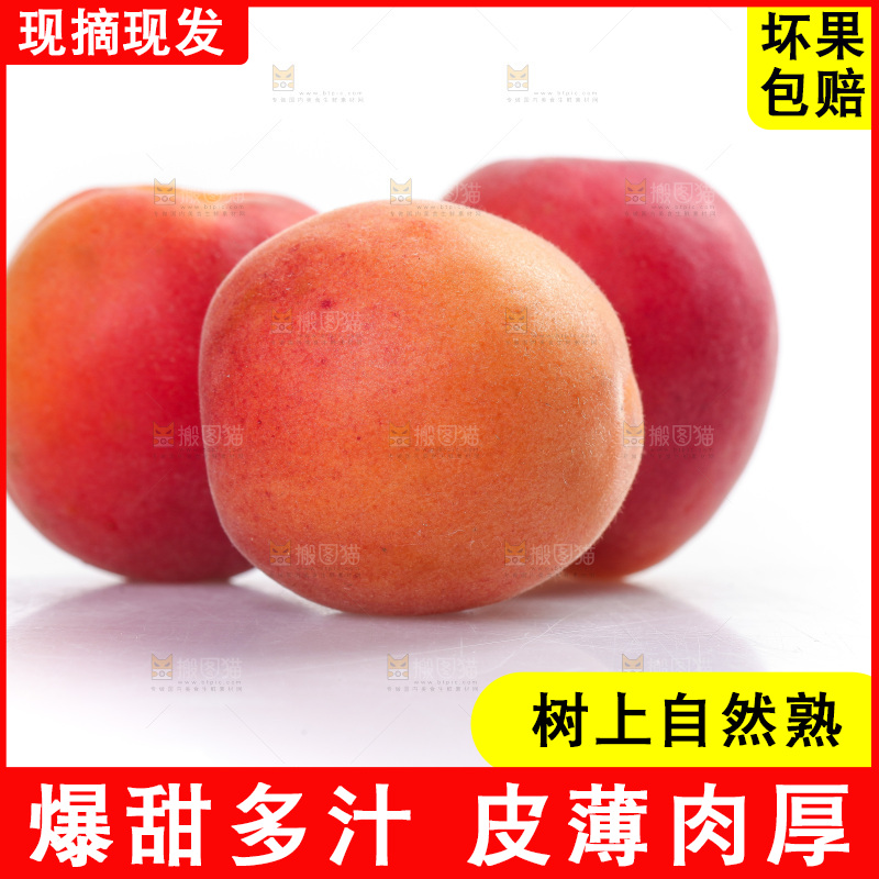 白底上放着小红杏