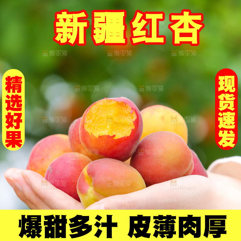 手里捧着崂山蜜桔