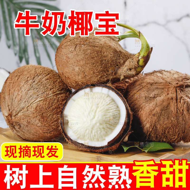 白底上放着一盘椰宝