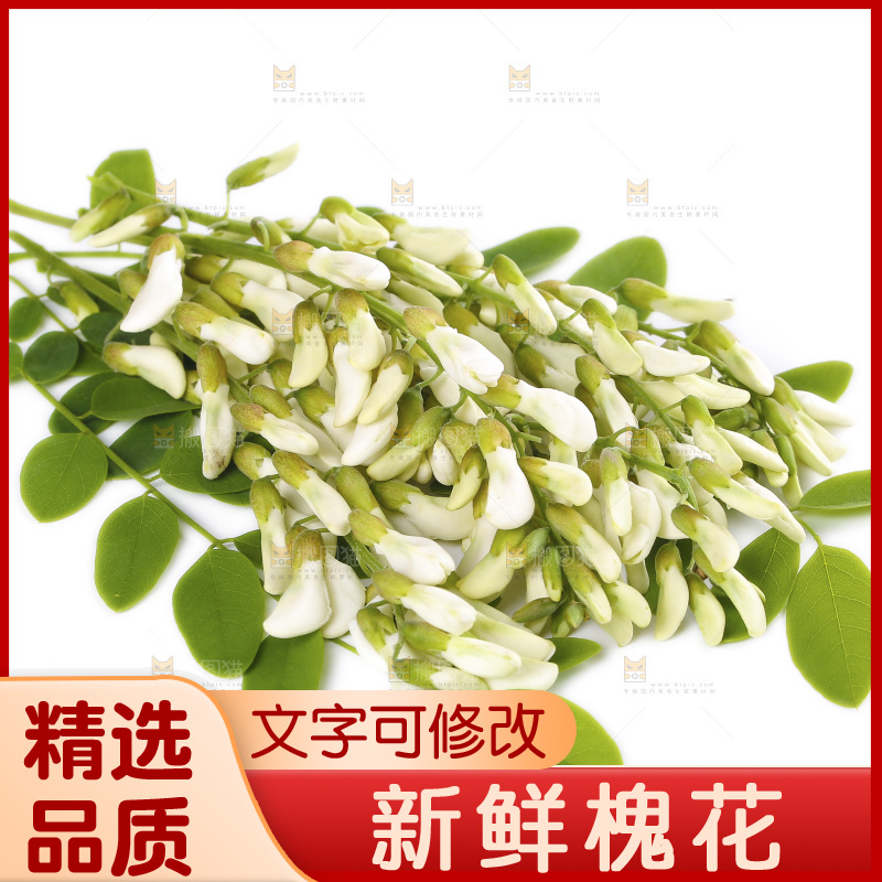白底上放着槐花