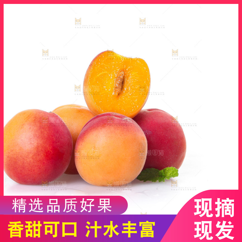 白底上一堆新鲜小红杏