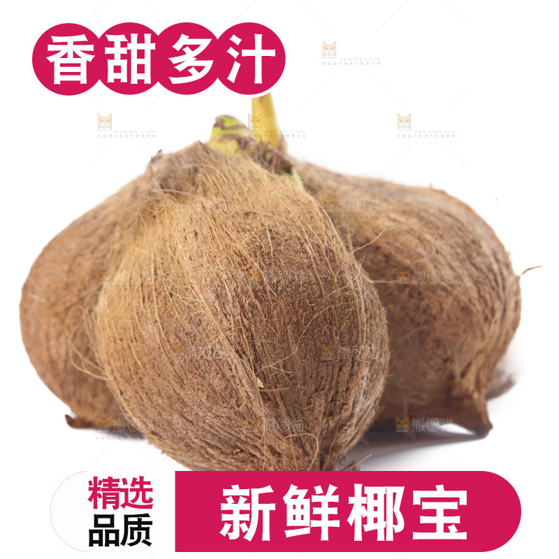 白底上放着海南椰宝