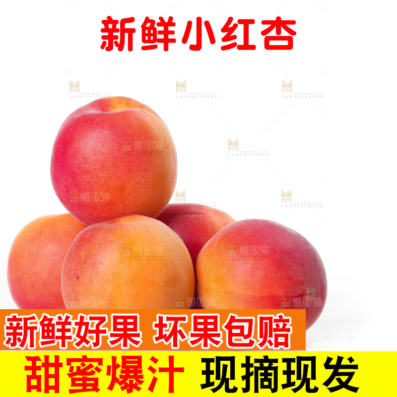 白底上一堆新鲜小红杏