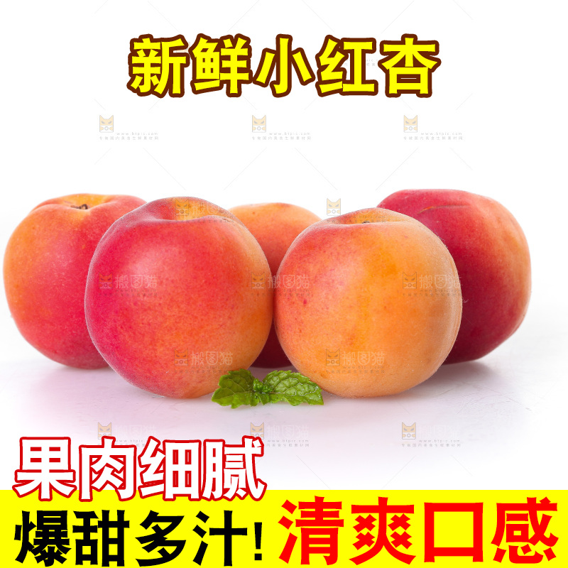 白底上一堆新鲜小红杏