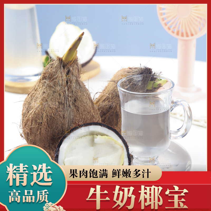 白底上放着一盘椰宝