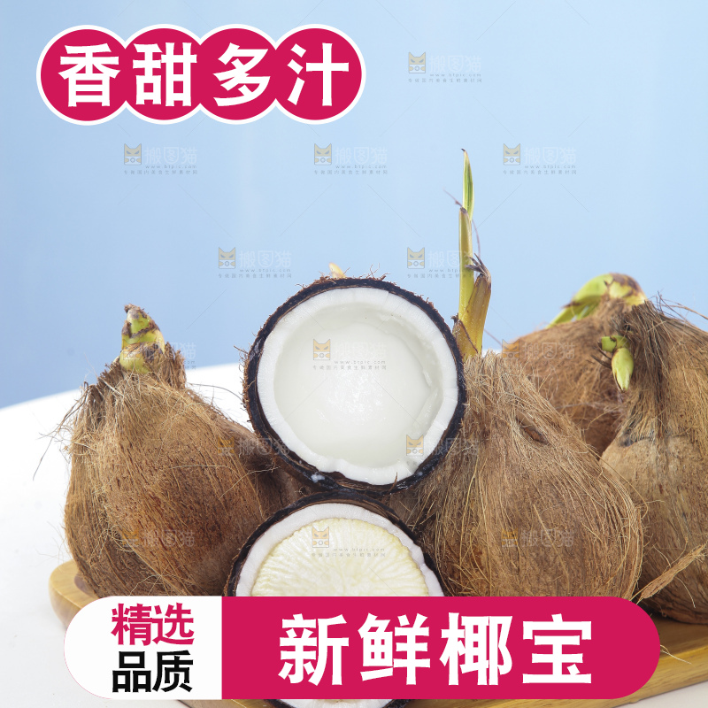白底上放着一盘海南牛奶椰宝