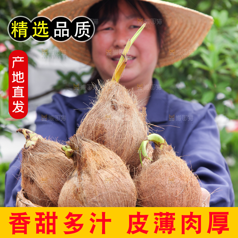 女人手里端着一篮海南椰宝