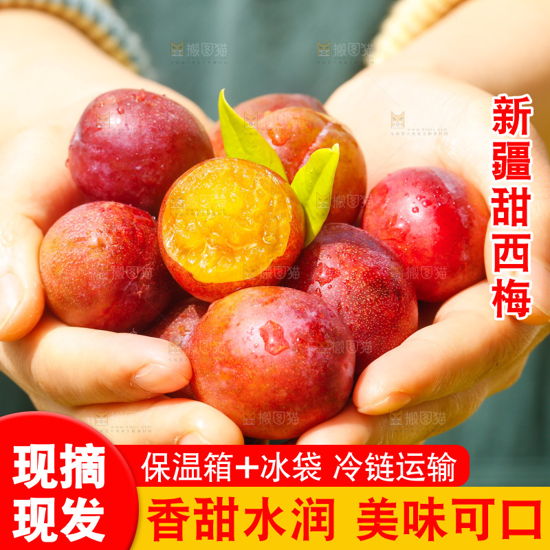 手里捧着西梅