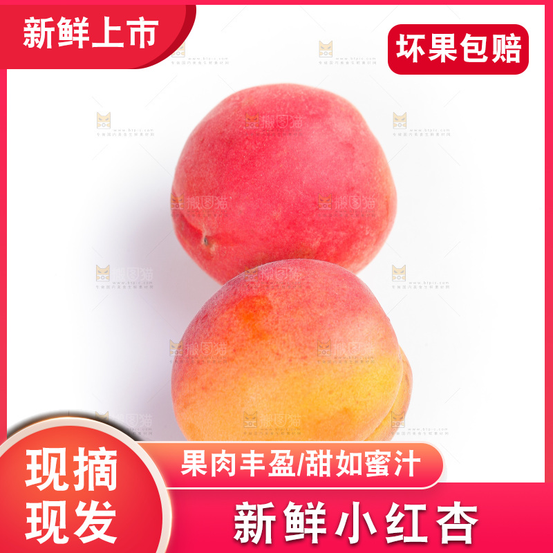 白底上放着小红杏