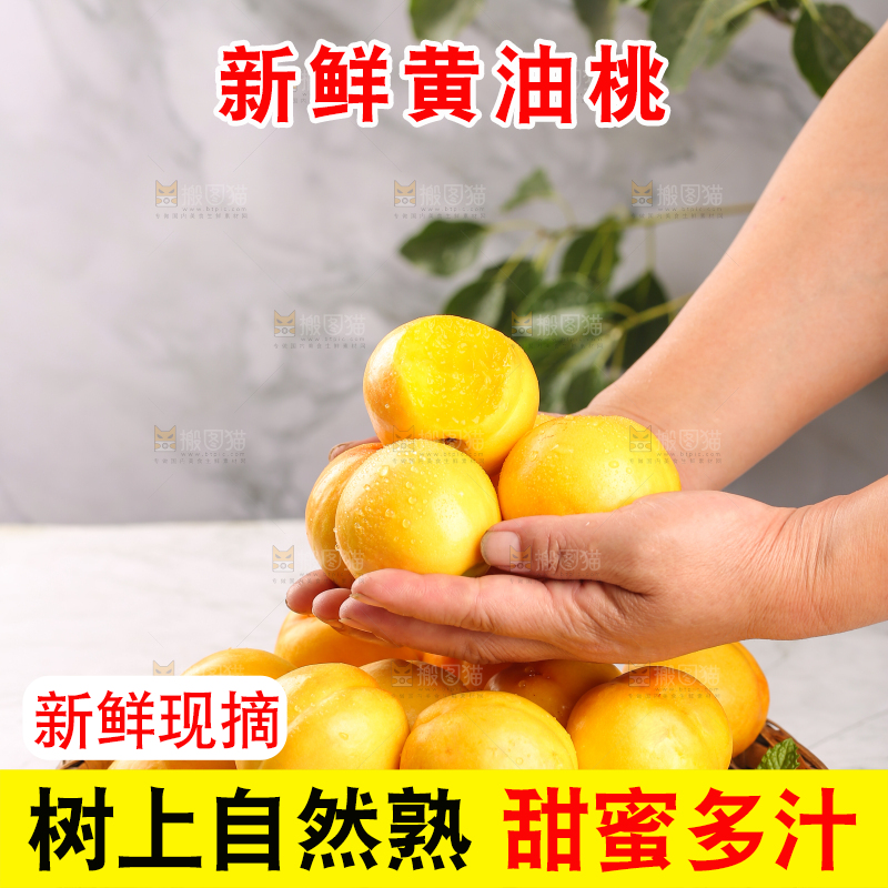 手里捧着黄油桃