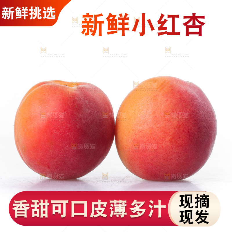 白底上放着小红杏