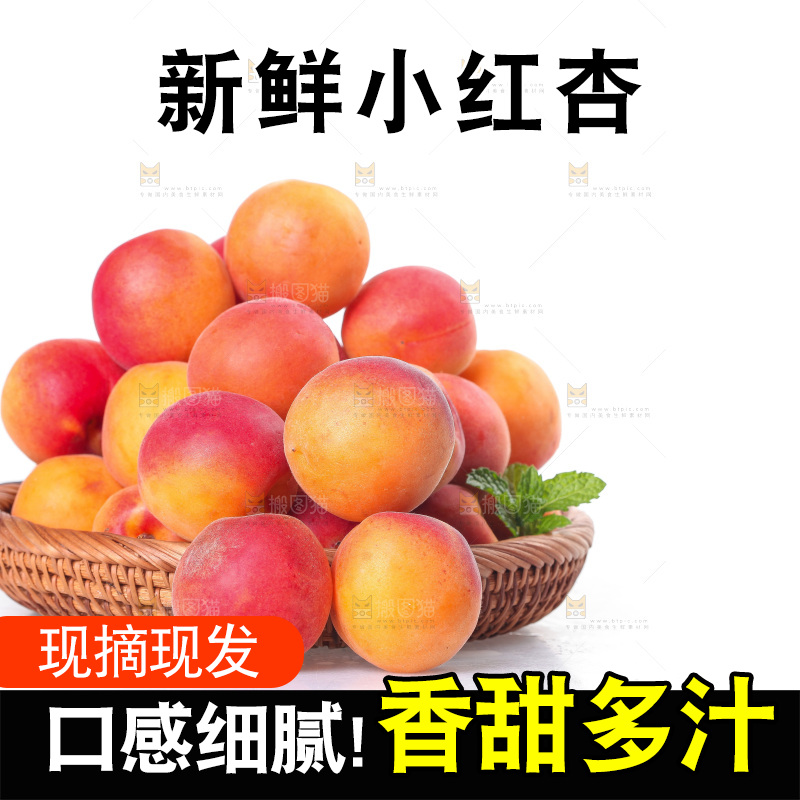 白底上放着一篮崂山蜜杏