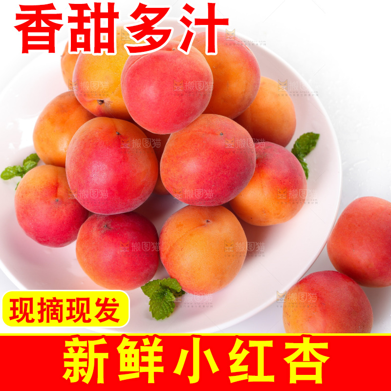 白底上放着一盘新疆小红杏