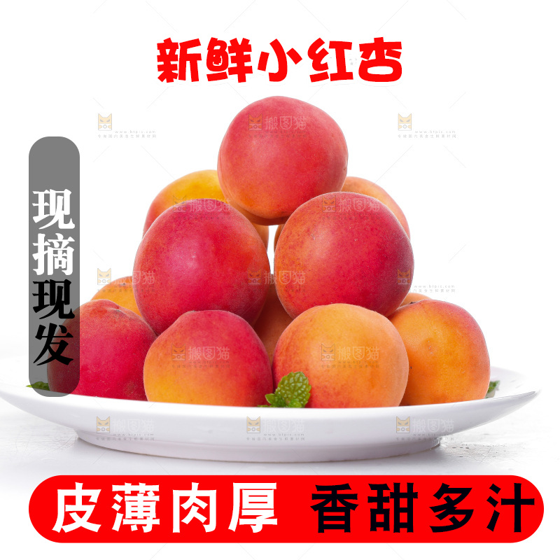 白底上放着一盘新疆小红杏
