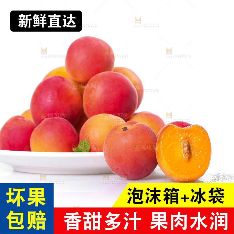白底上放着一盘新疆小红杏