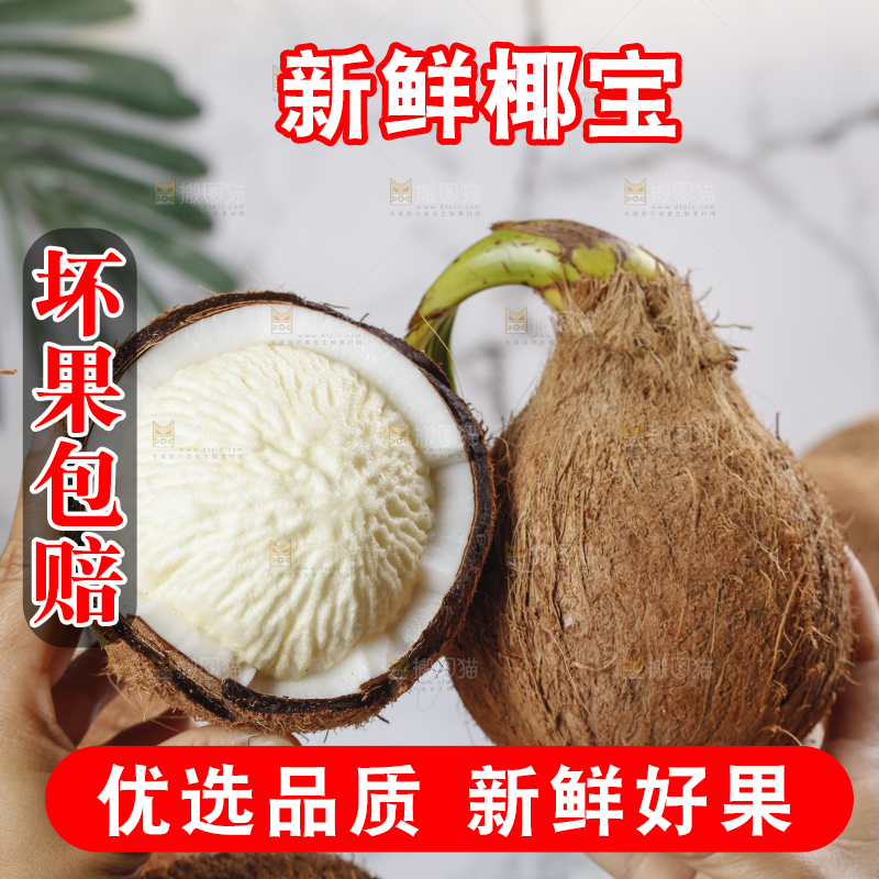 手里拿着椰宝