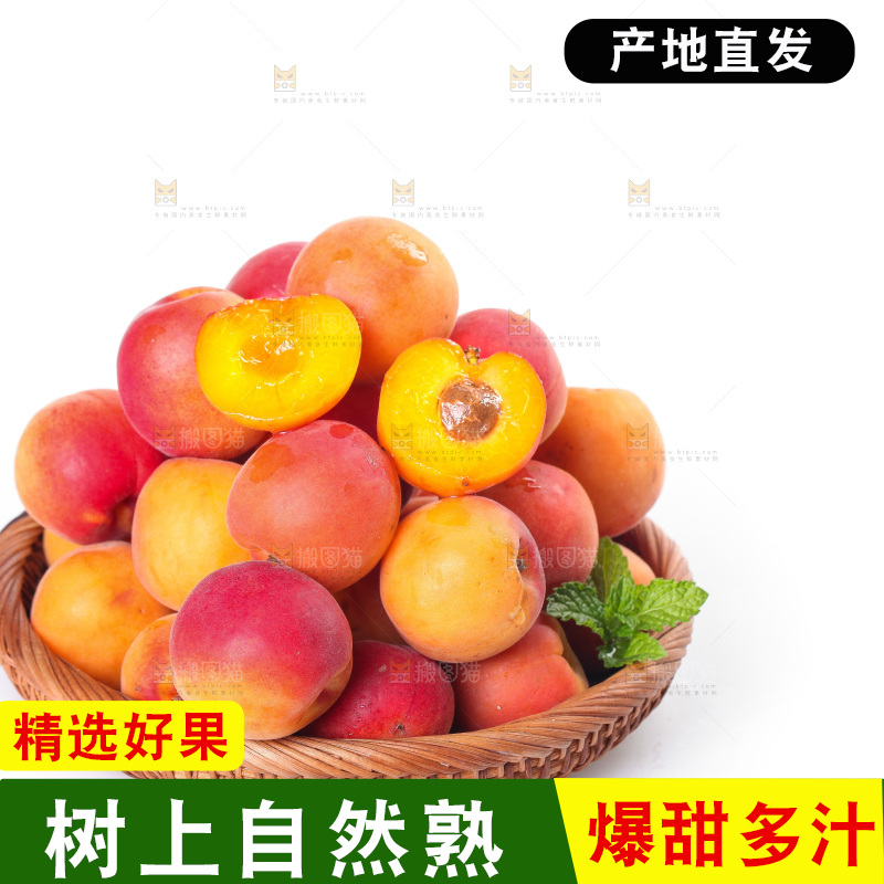 白底上摆放着一篮贵妃杏