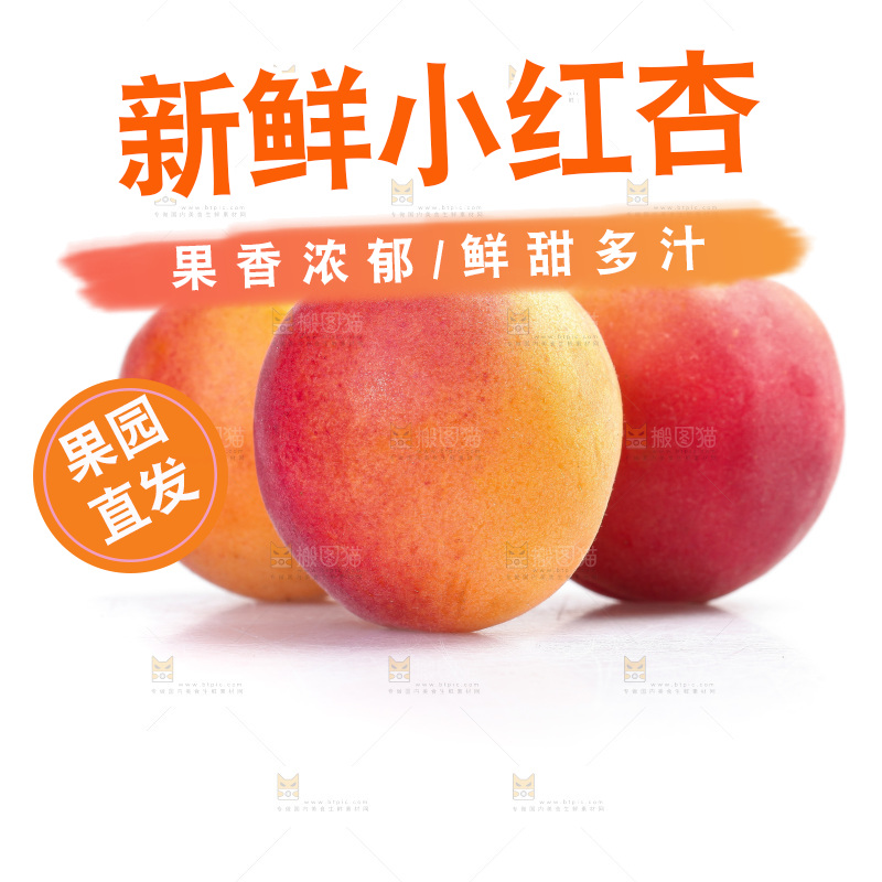白底上放着小红杏