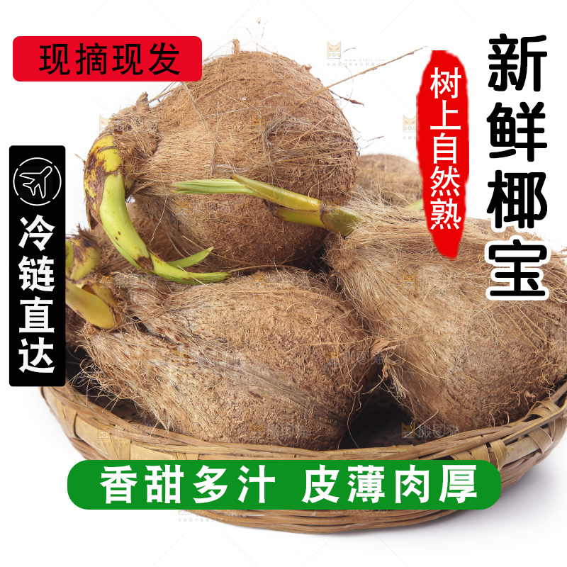 白底上放着一篮椰宝