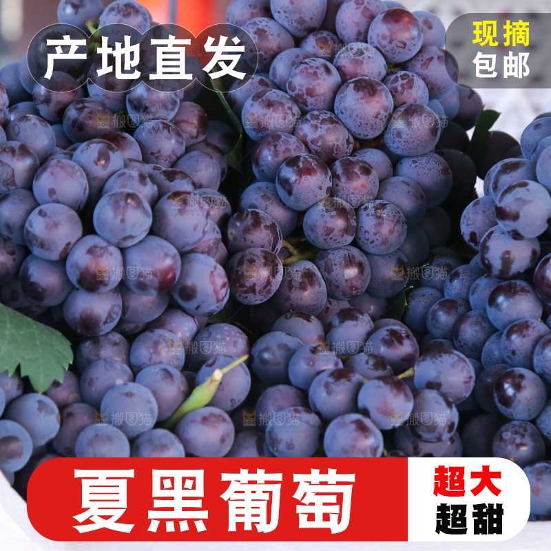夏黑葡萄纹理