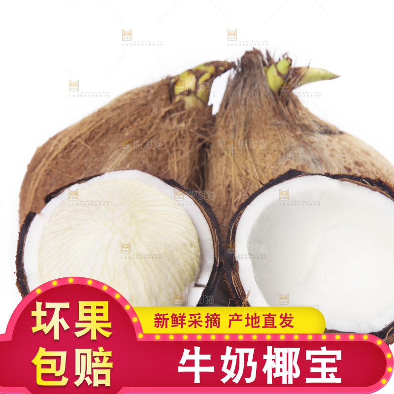 白底上放着一堆海南椰宝