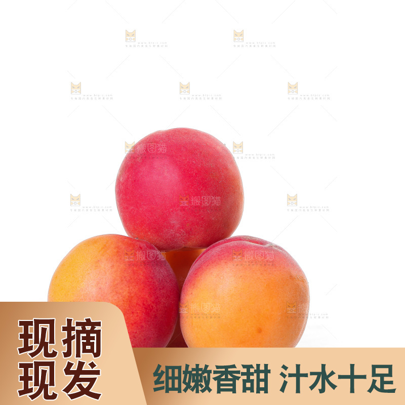 白底上一堆新鲜小红杏