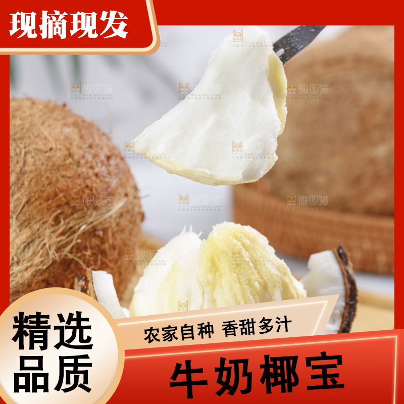 叉上叉着椰宝果肉