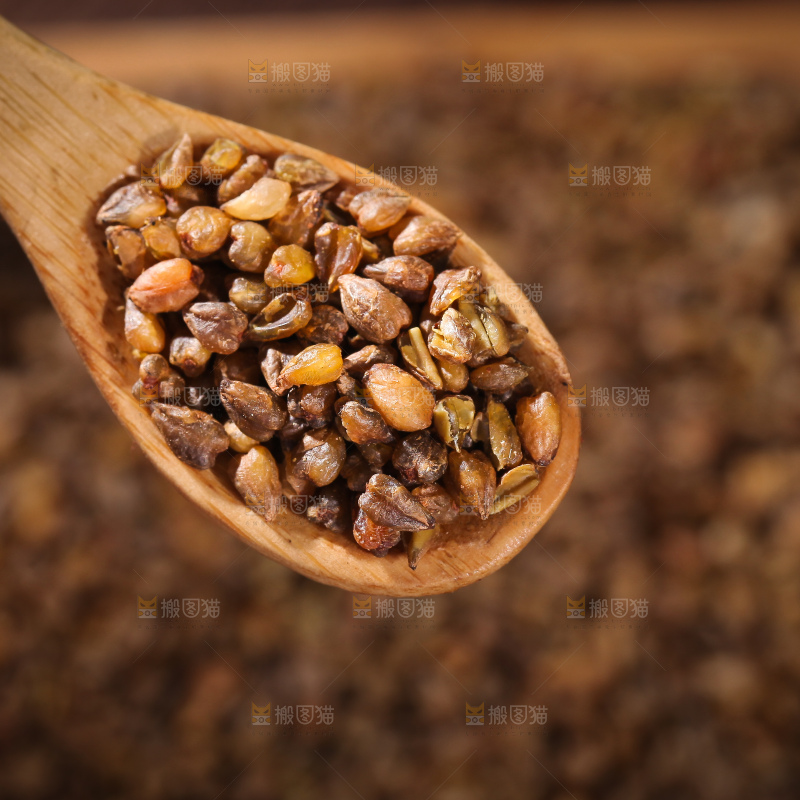 勺子里舀着苦荞米