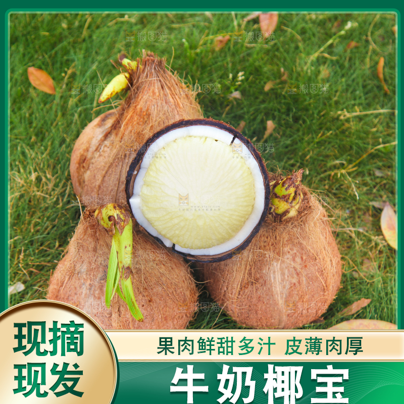 草地上放着一堆椰宝