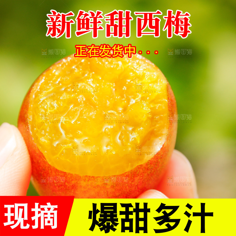 手里拿着新鲜西梅