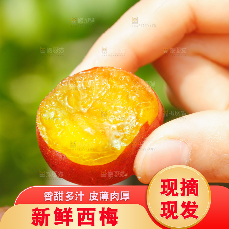 手里拿着新疆西梅