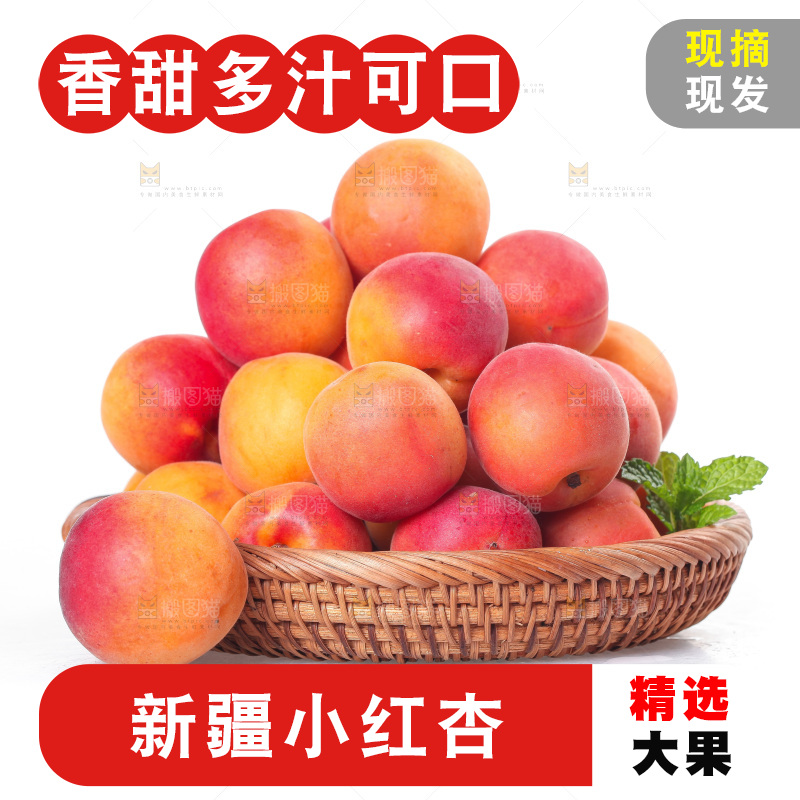 白底上放着一篮崂山蜜杏